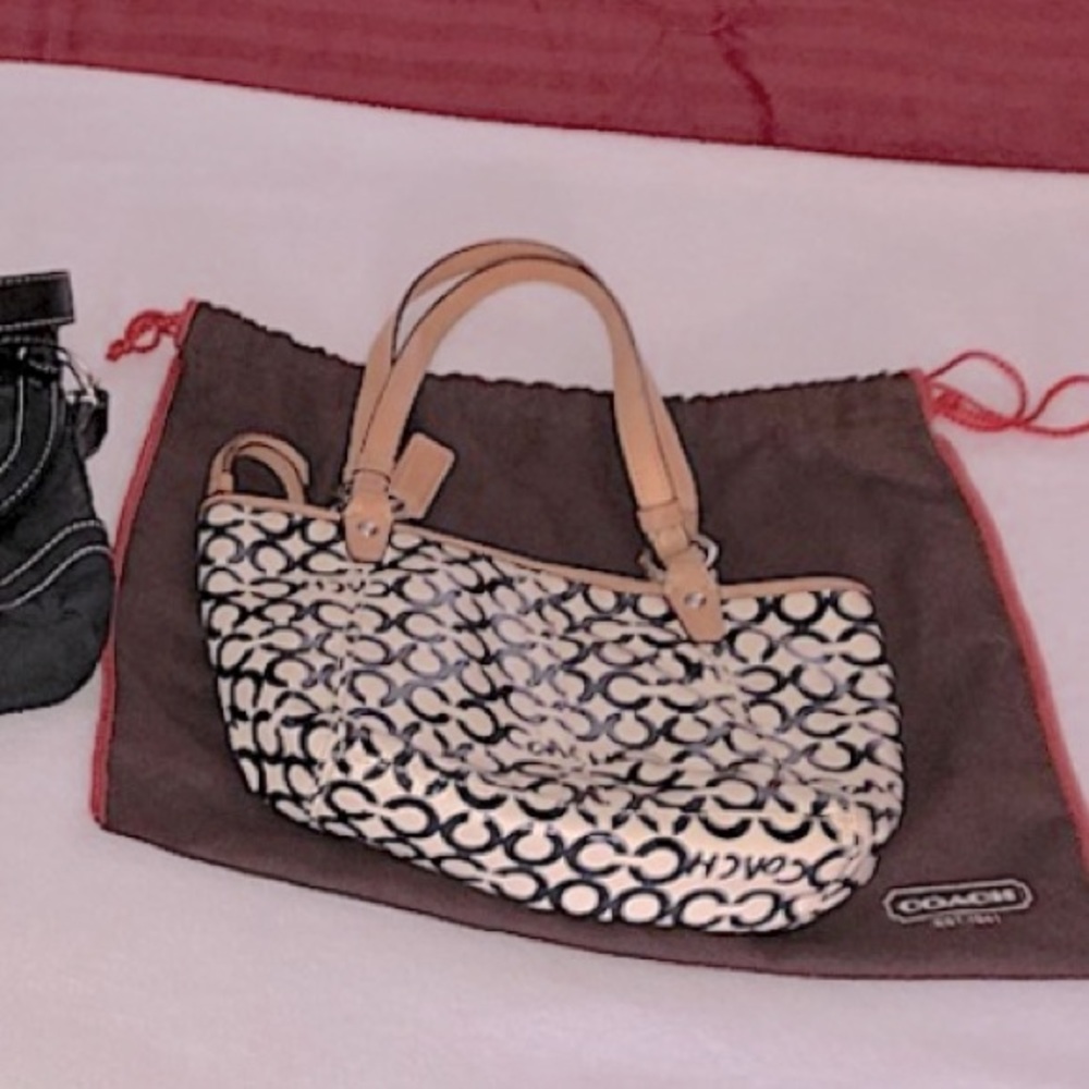Perfect Little Summer Coach bag